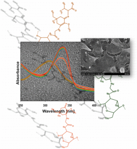 pictures of molecules, fibroblasts, and an absorbance spectrum overlapping