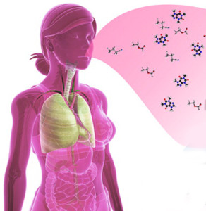 schematic image of female body sniffing molecules