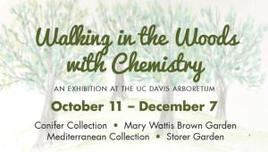 Walking in the woods with chemistry: October 11-December 7, 2015