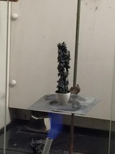 Carbon snake with p-nitro-aniline