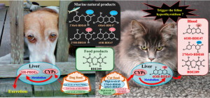 Summary graphic with chemical structures