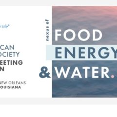 Student Travel Grant to the ACS National Meeting in New Orleans