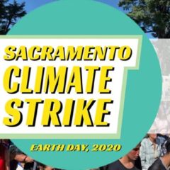 Sacramento Climate Strike is Going Digital