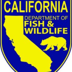 Cal Dept. of Fish and Wildlife Looking for Scientist to Join the Petroleum Chemistry Lab