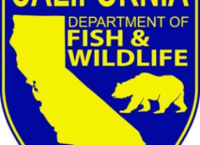 Office of Petroleum Spill Response Looking for Chemist in Rancho Cordova