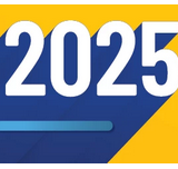 ACS Spring Meeting 2025 Councilors’ Report